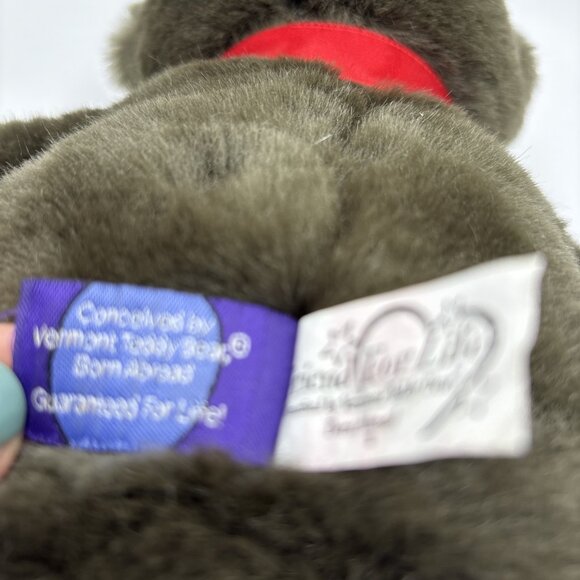 Vermont Teddy Bear Friend For Life Brown Bear - Picture 6 of 7